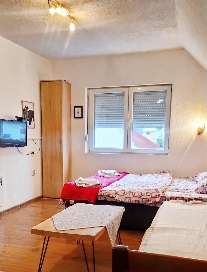 Apartmani Bozana Vojinovic Žabljak Buitenkant foto