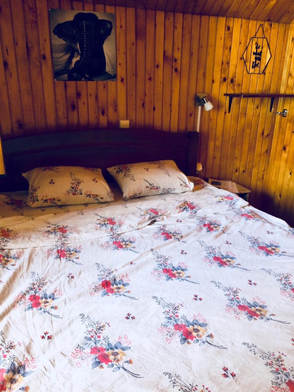 Apartmani Bozana Vojinovic Žabljak Buitenkant foto